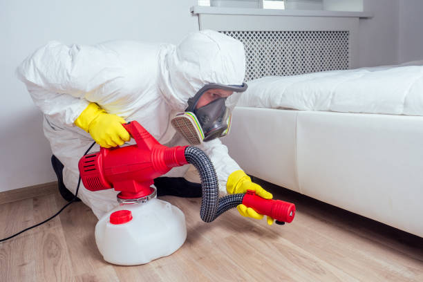 Best Real Estate Pest Inspections  in Olathe, CO